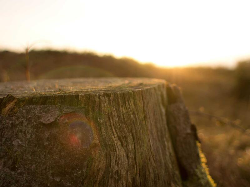 sudoku xy-wing screenshot 1