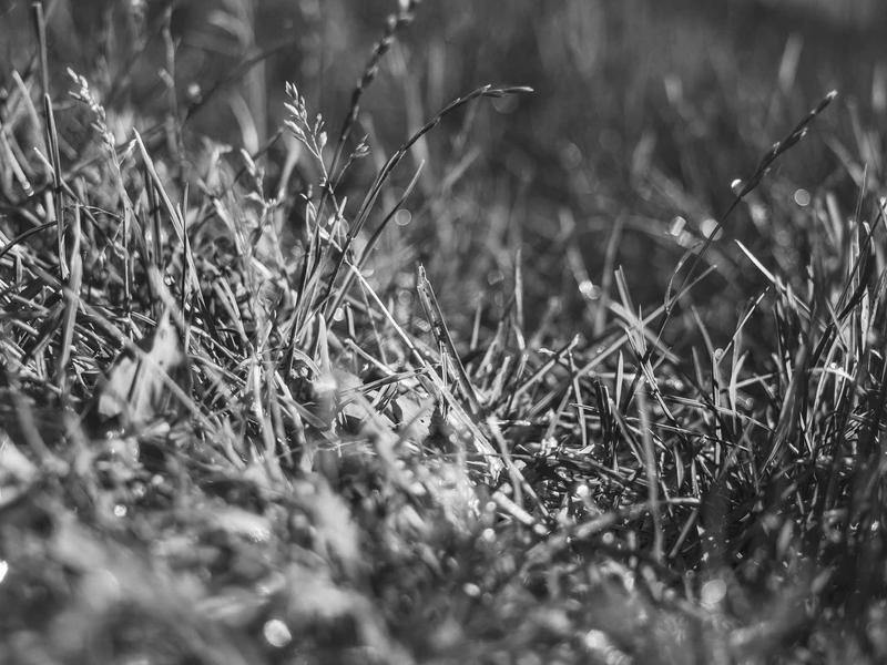 sudoku xy-wing screenshot 2